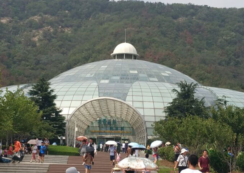 大連熱帶雨淋爬蟲館網架